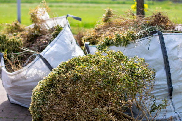 Best Hoarding Cleanup  in Brooklet, GA
